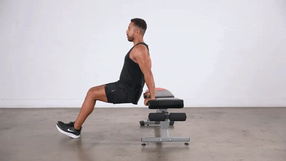 Triceps Dips with Bench
