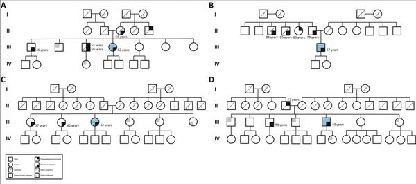 Importance of family history in Barrett's and esophageal adenocarcinoma