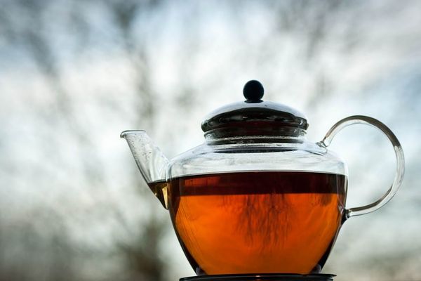 Hot beverage intake and risk of esophageal cancer - a large prospective study in the UK