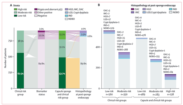 Capsule sponge, biomarkers and AI in risk classification of Barrett's esophagus