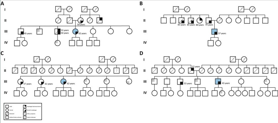 Importance of family history in Barrett's and esophageal adenocarcinoma