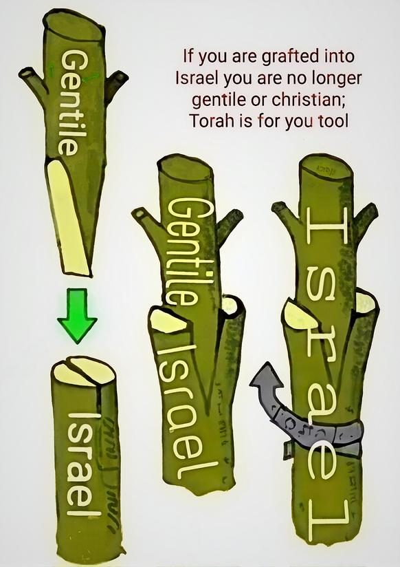 What are Gentile Hebraic Roots?