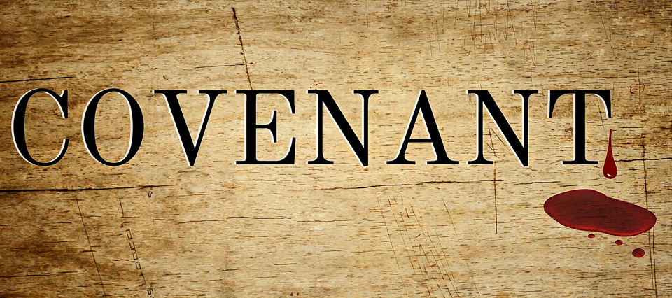 The covenant in My blood