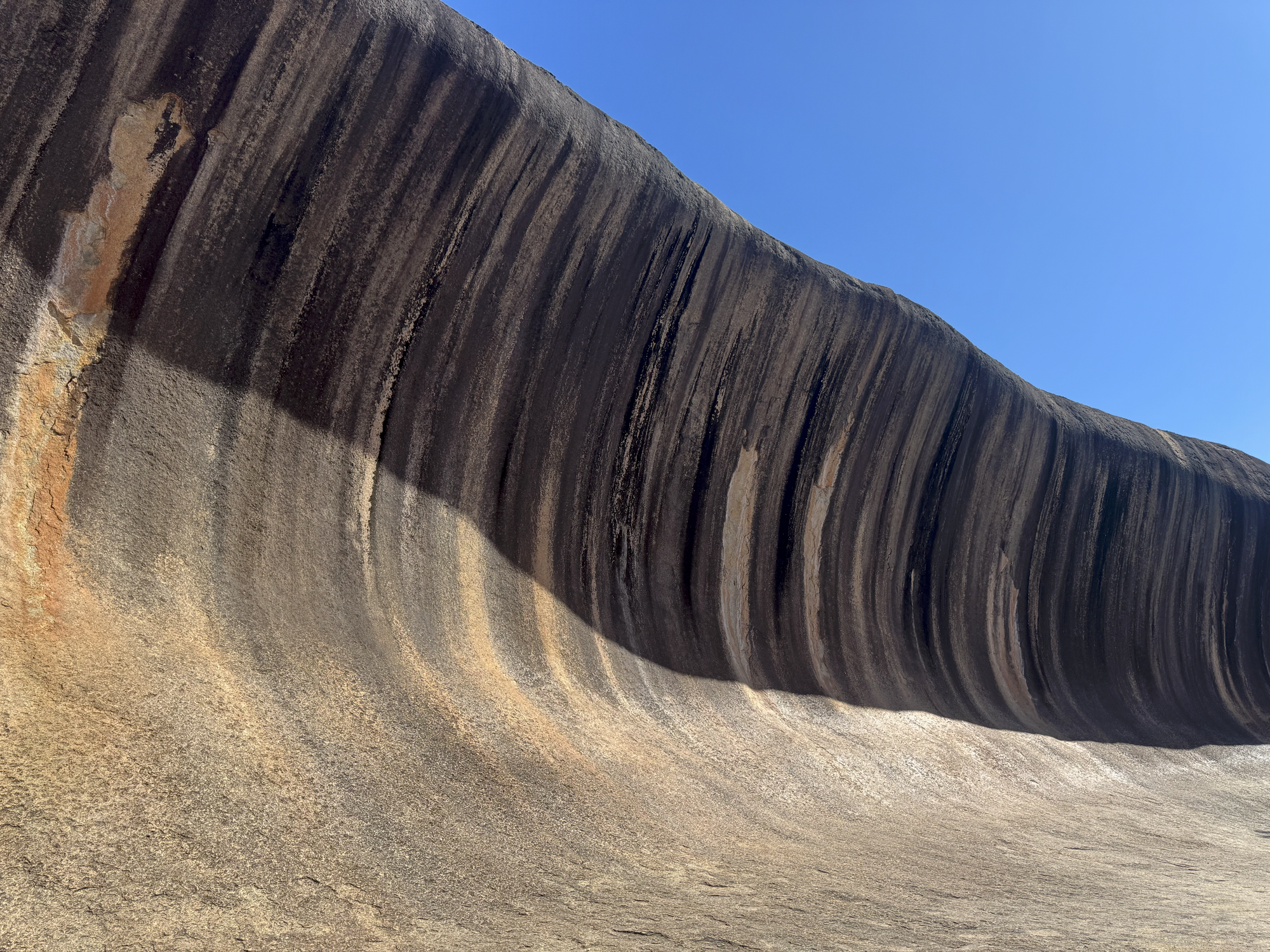 The curved face of Wave Rock in afternoon light against a clear blue sky.