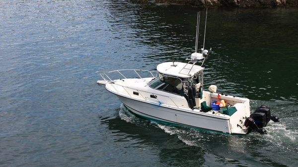 How to Support Western Australia’s Fishing Industry