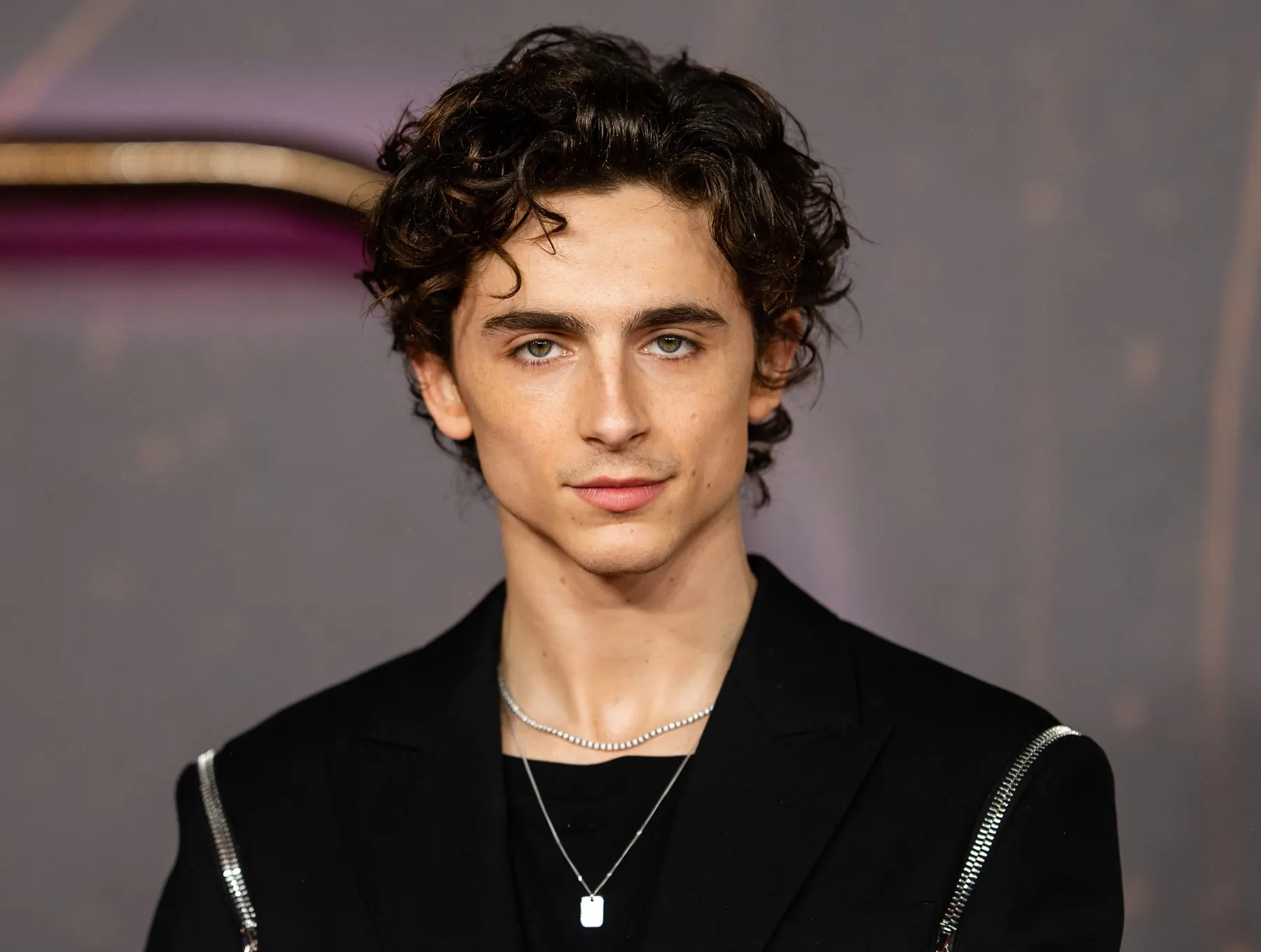 Timothée Chalamet dans Homeland : son rôle oublié avant Dune et Call Me by Your Name