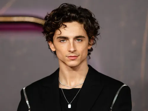 Timothée Chalamet dans Homeland : son rôle oublié avant Dune et Call Me by Your Name