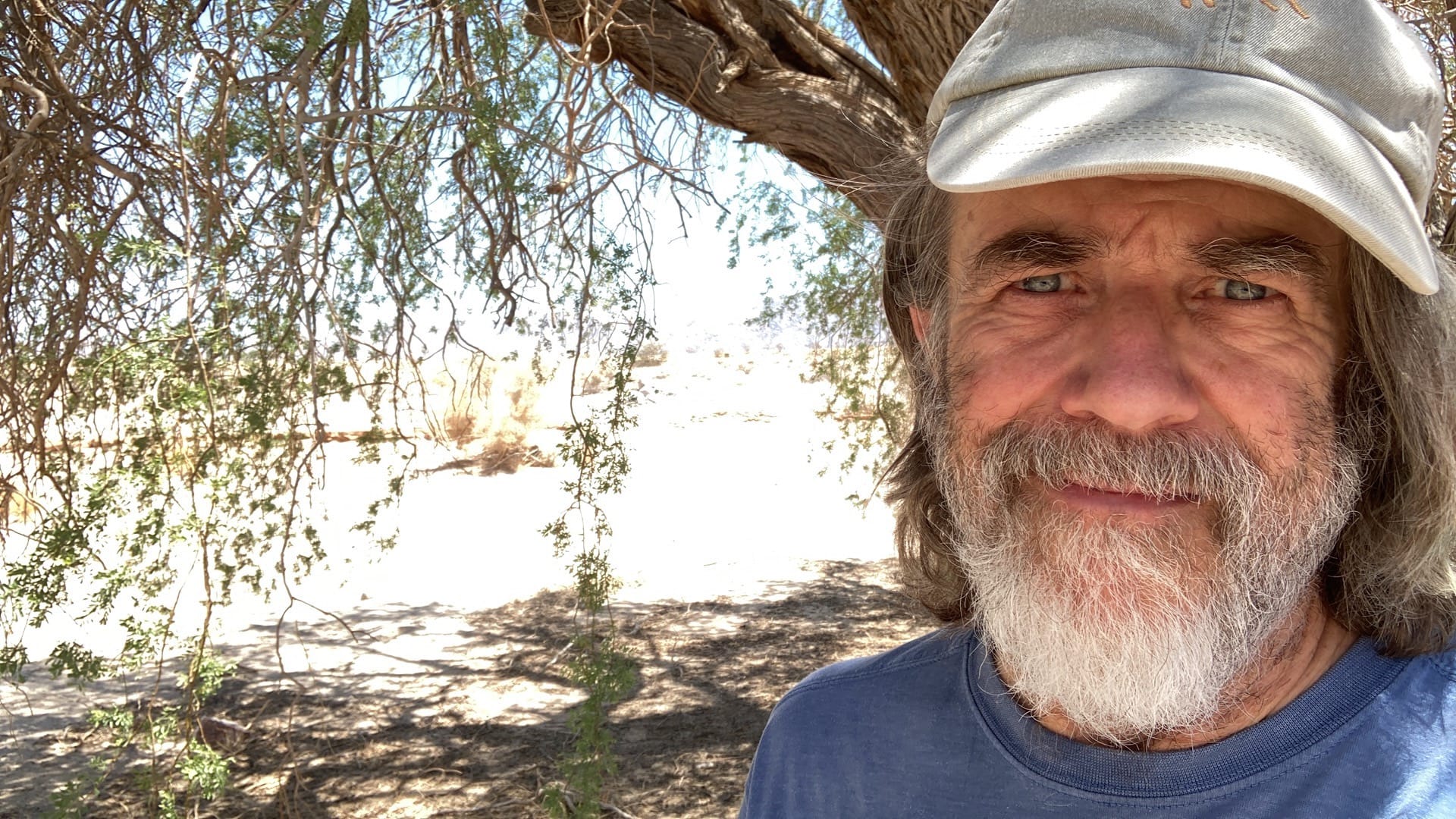 an old white hippie in the shade of an ironwood tree.