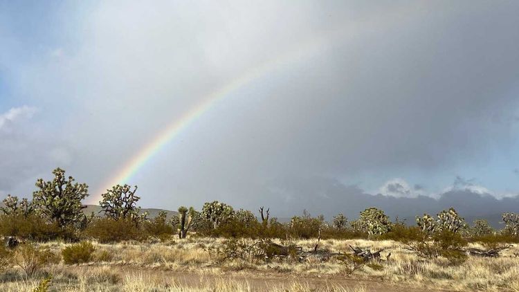 New Episode! Avi Kwa Ame National Monument: A Year of Desert Conservation Triumphs
