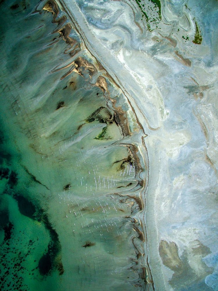 Saving the Great Salt Lake: A Focus on Ecosystems, Endangerment, and Advocacy