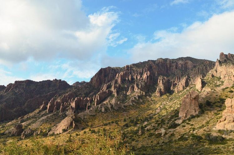 Preserving the Spirit of the Chihuahuan Desert: Insights from the Front Lines of Conservation