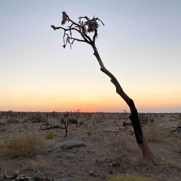 We’ve been busy in the desert 🌵🔥 — and you’ve got a lot to catch up on