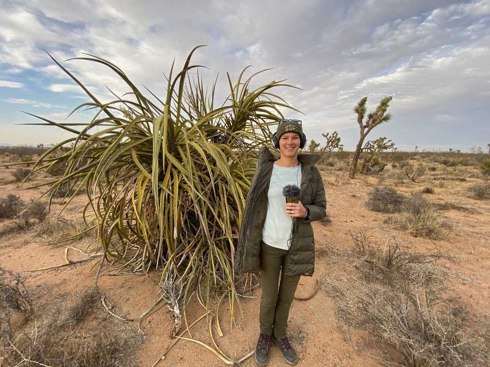 90 Miles from Needles: New Joshua tree episode