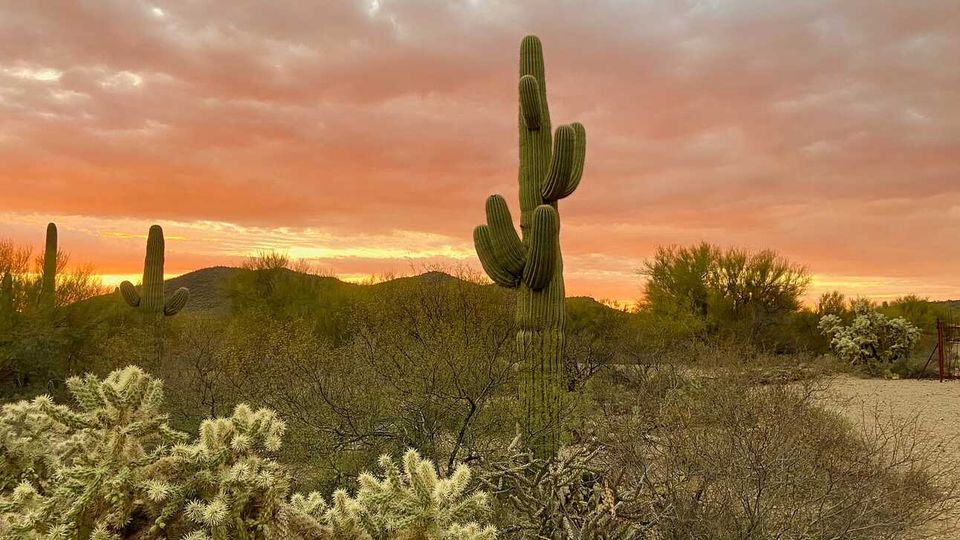 Before the year ends, help keep desert stories alive