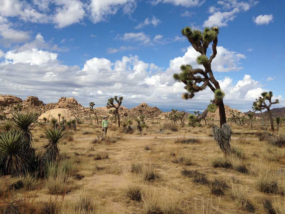 New Episodes! 90 Miles from Needles: Catching up
