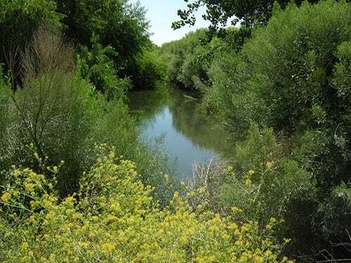 Ancient Plants and Texas Wetlands: 2 New Episodes!