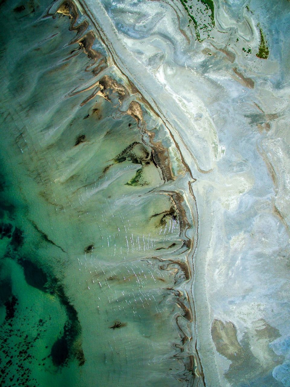 Saving the Great Salt Lake: A Focus on Ecosystems, Endangerment, and Advocacy