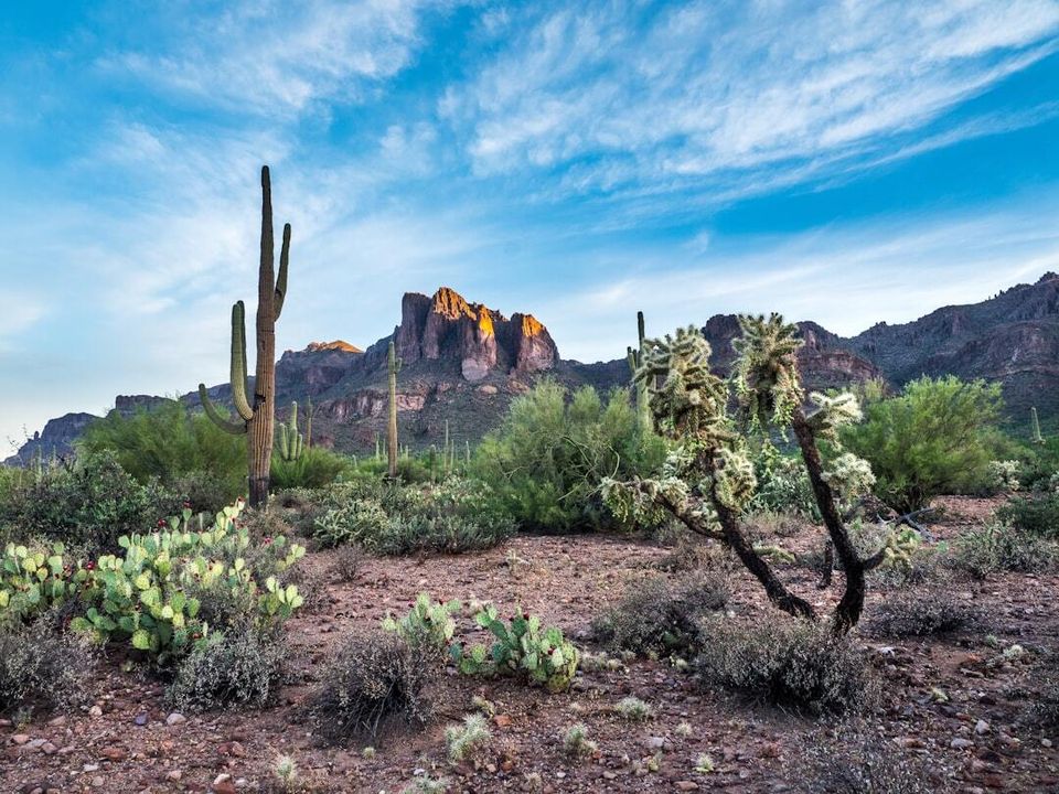 90 Miles from Needles: Please help!