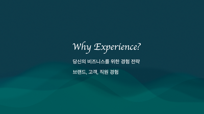 Why Experience?
