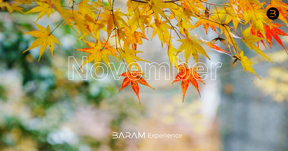 BARAM_11월의 바람