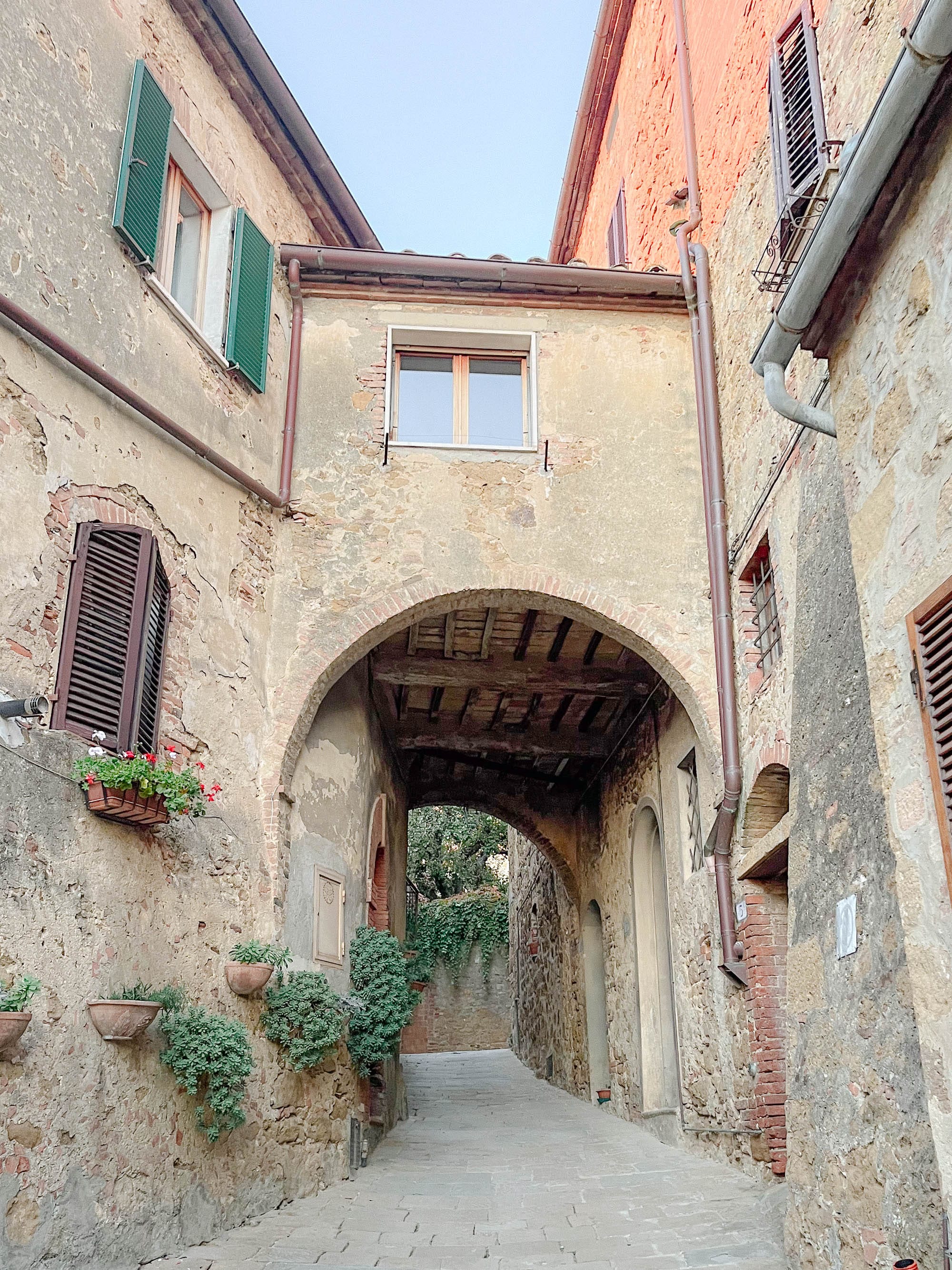 Ivy-covered medieval buildings in Castelmuzio, Italy