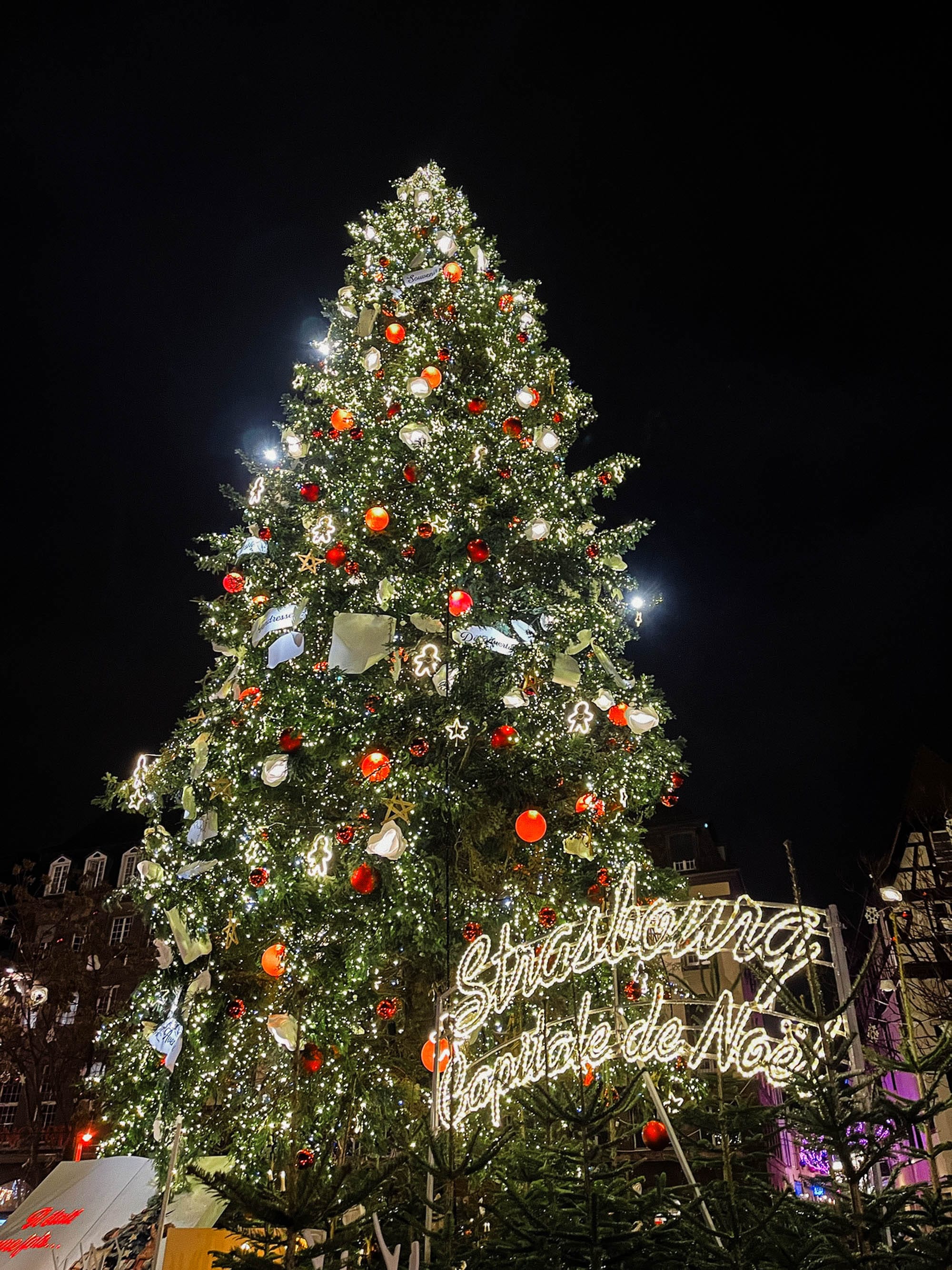 The main Christmas tree at the Strasbourg Christmas market