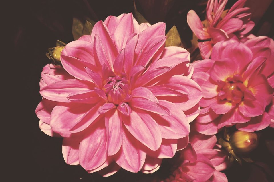 (Another) Fresh Start