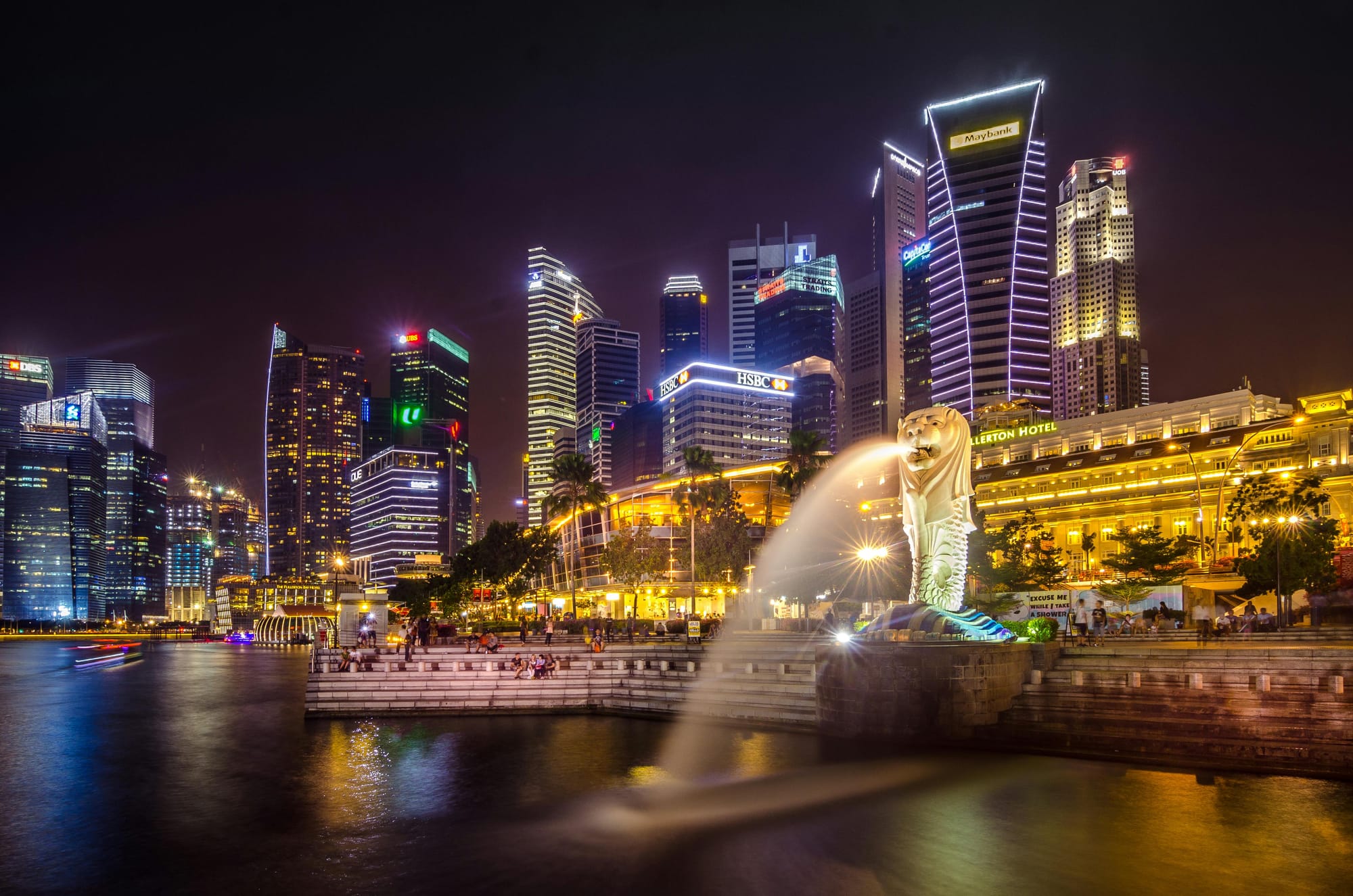 Singapore Business Visitor Fast Lane: Expedited Processing for Emergency Corporate Travel