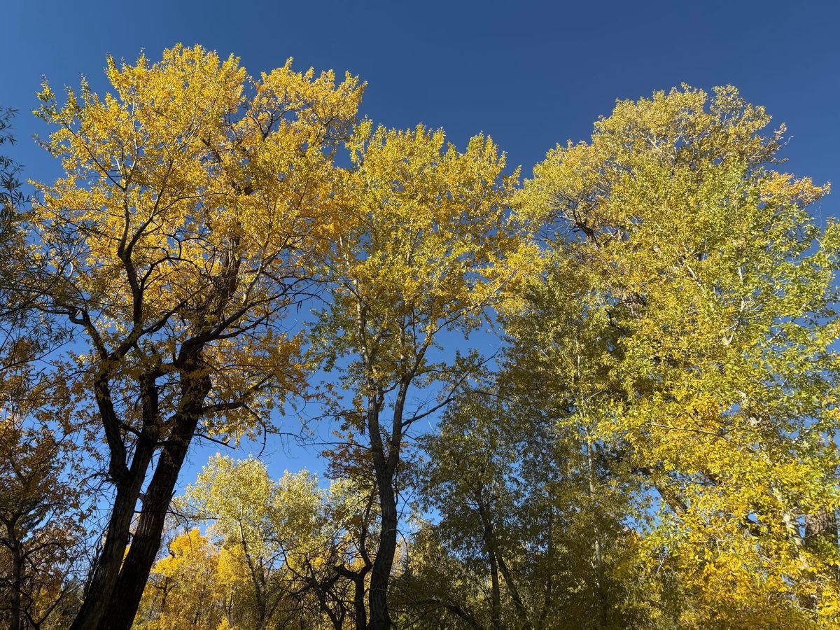 Post #20: A Season of Healing