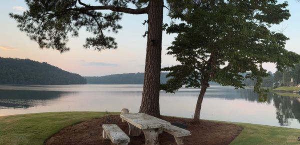 Post #9: Speaking Life