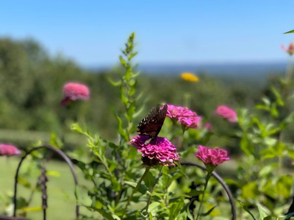 Post #1: Listening for God's Voice