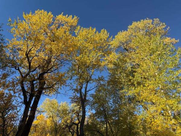 Post #20: A Season of Healing