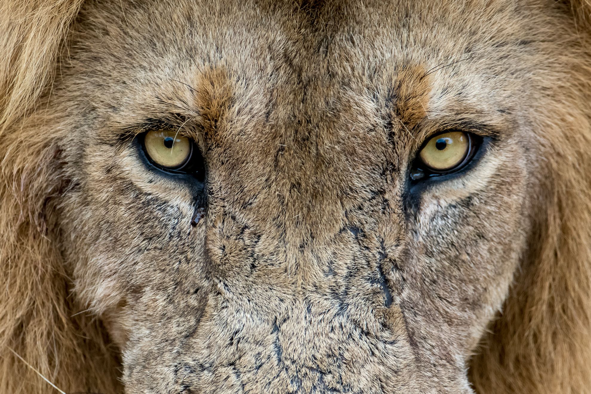 MrDave's ( David Yack )  Blog