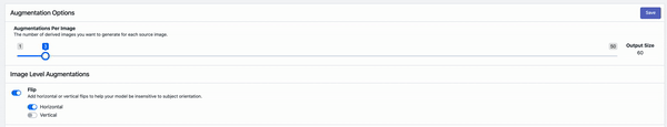 Roboflow Screenshot: choosing horizontal and vertical flips.