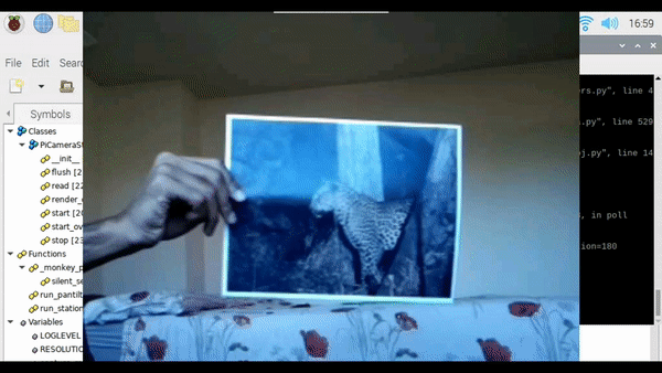 Computer vision tracks a leopard