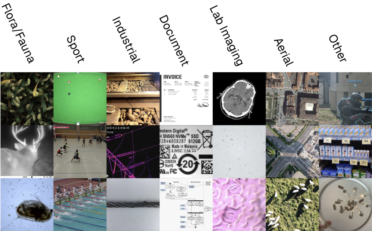 Roboflow 100&nbsp;Vision Language (RF100-VL)