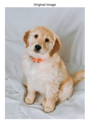 Original image in OpenCV