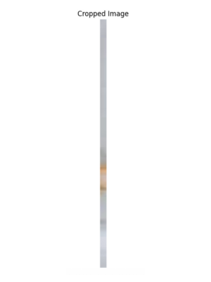 Cropped image in OpenCV