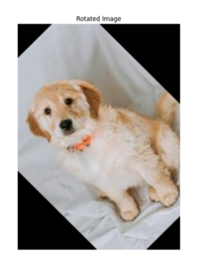 Rotate Image in OpenCV