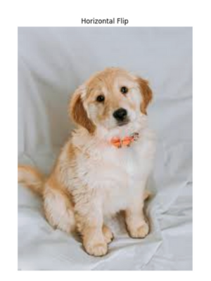 Horizontal flip image in OpenCV