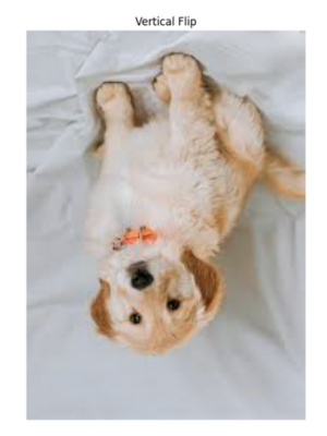 Vertical flip image in OpenCV