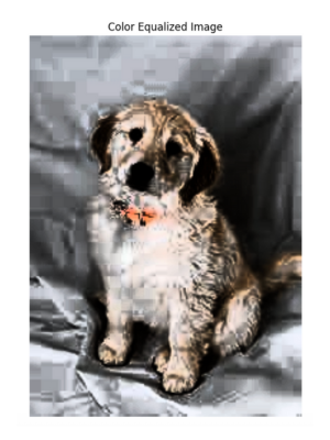 Color equalized image in OpenCV