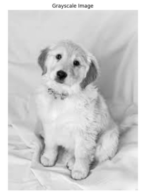 Grayscale image in OpenCV