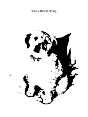 Otsu's Thresholding in OpenCV