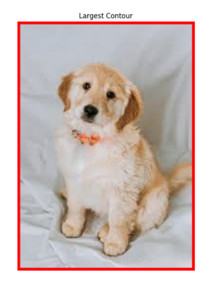 Largest contour image in OpenCV