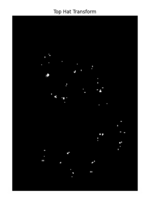 Top hat transform image in OpenCV