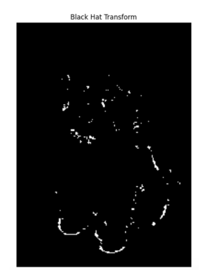 Black hat transform image in OpenCV