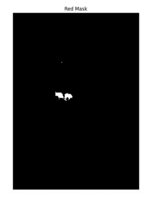 Red mask image in OpenCV