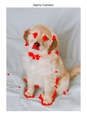 Harris corners image in OpenCV