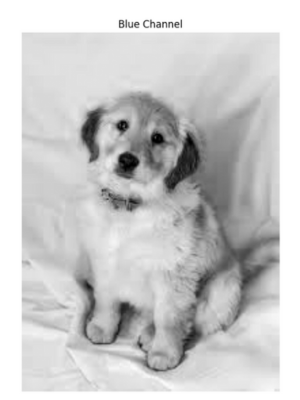 Blue channel image in OpenCV